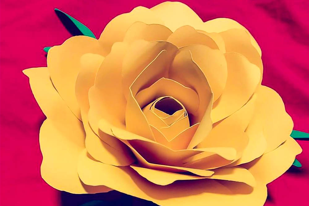 Paper Flower Creations